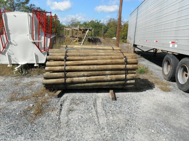 Treated wood fence posts