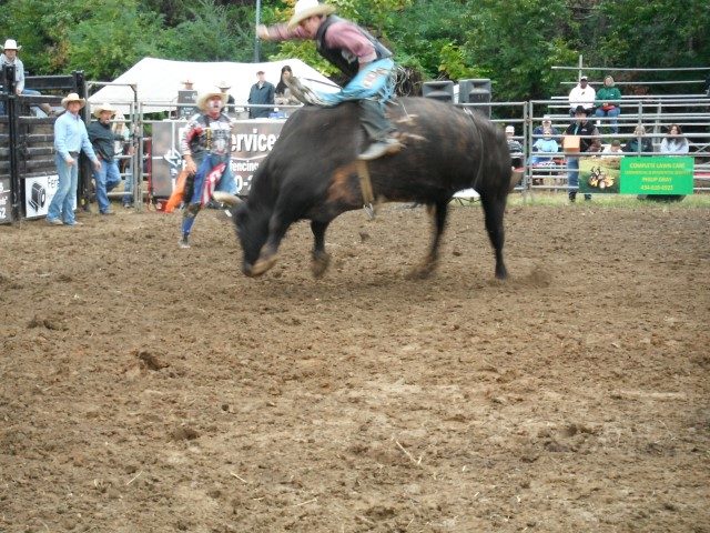 Bull riding at the 2015 Appomattox Railroad Festival rodeo